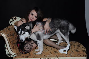 与狗狗做了几次爱,狗狗射在我里面口述,女人口