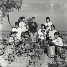 知青补偿最新消息2015,2015年对下乡知青退休