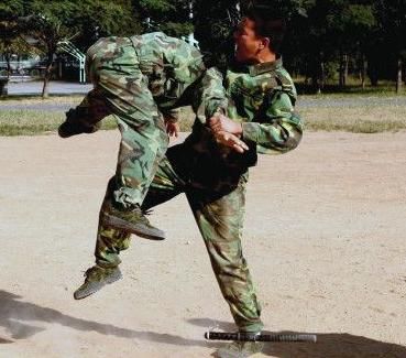 武警和解放军谁打架猛,武警与解放军军衔有什