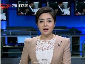 四川卫视女主播佟瑶溺水身亡背景照片,佟瑶老公资料生前美照曝光(2)