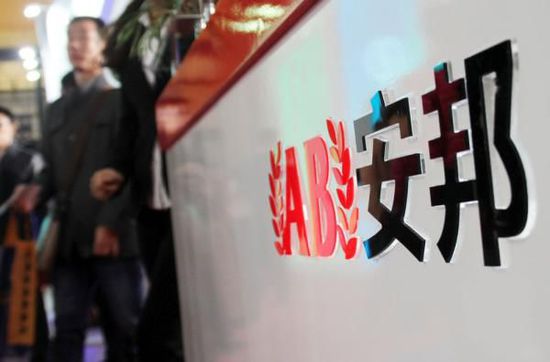 安邦集团董事长是谁的女婿,安邦老总吴小辉个