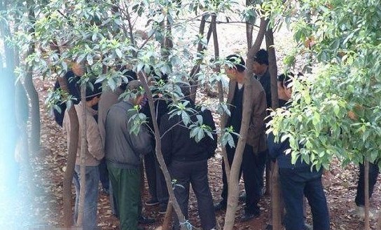 老人与女子性交易图现场曝光 老人山林肮脏交易全程图