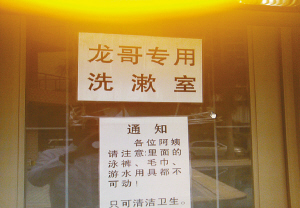 深圳沙井龙哥老婆照片,揭秘沙井龙哥资料及黑团伙照片