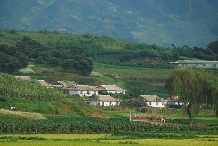 朝鲜现状令人心酸图片,2015年朝鲜偷渡女人真