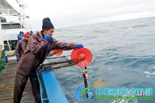 渔船出海_渔船收入
