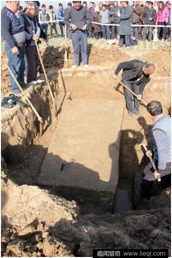 ĹڳƵ,ũ˵ڳϢͼ(2)