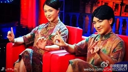王祖蓝为什么模仿金星,王祖蓝现场模仿金星视频图(2)