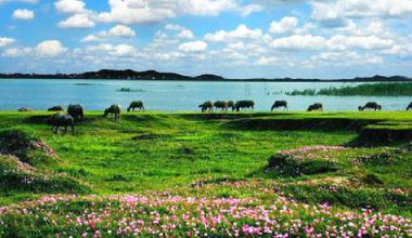 中国著名的五大淡水湖图片