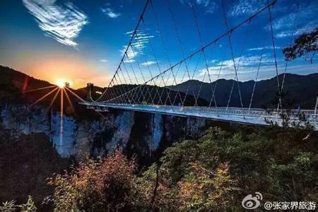 张家界大峡谷玻璃桥被紧急叫停原因张家界玻璃桥开放时间旅游攻略