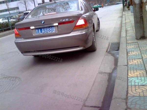 老干妈陶华碧政府奖励的车牌号,老干妈陶华碧