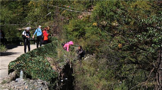 傅园慧野外生存吃蛇照片曝光,揭秘洪荒少女傅