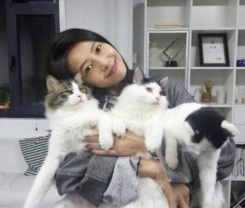 高圆圆发文疑怀孕,揭清嘴女孩到全民女神的转变及怀孕大肚照