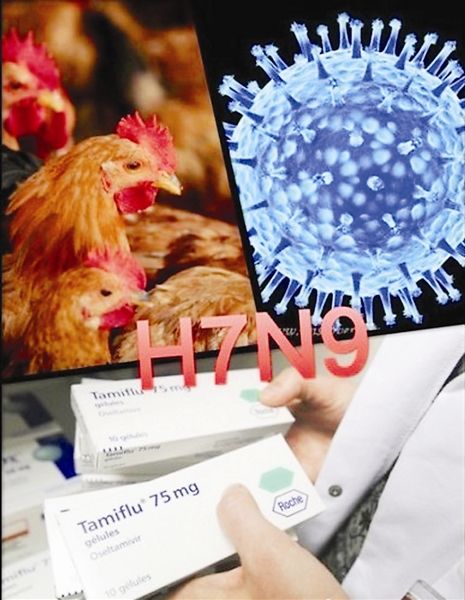 什么是h7n9病毒预防办法,2017年h7n9禽流感最新消息