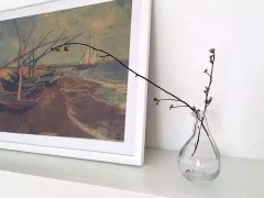 90后姑娘爆改出租屋具体过程图,60平出租屋怎么改成世外桃源