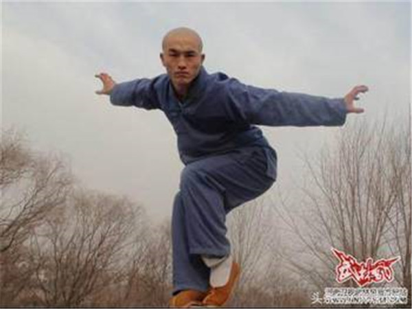 武僧一龙是谁怎么出名的,武僧一龙是和尚吗背景照片