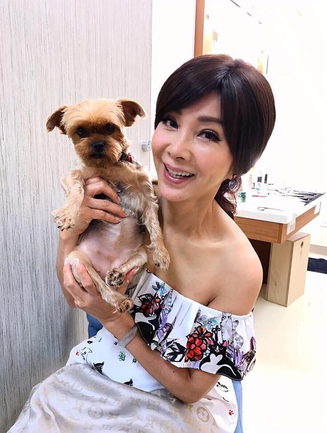 邱泽与陈美凤被曝母子恋是真的吗?揭两人是如何认识的相差几岁(2)