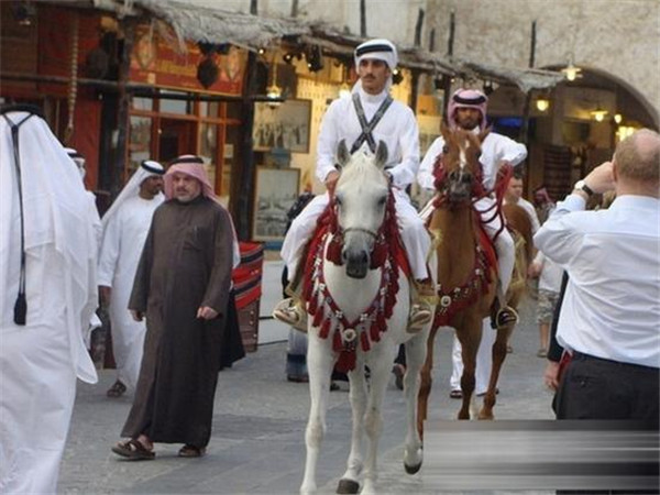 揭秘卡塔尔王室的奢华生活,卡塔尔王室为什么