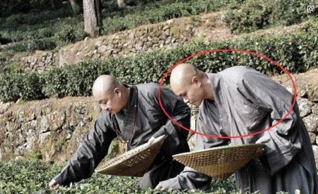 乐嘉为什么被封杀酒后失言吗?如今乐嘉过的怎么样干嘛去了