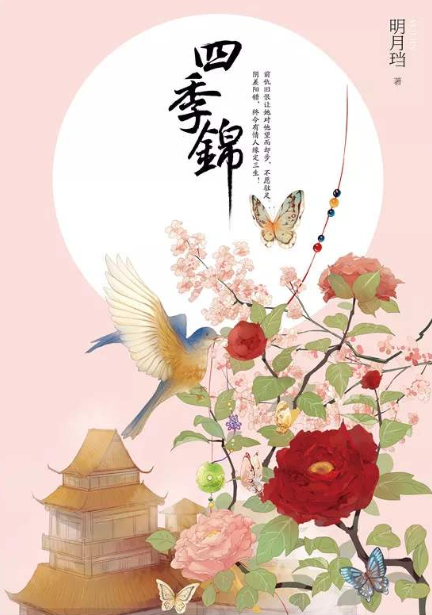 挽回明月珰 经典小说值得你一直回味