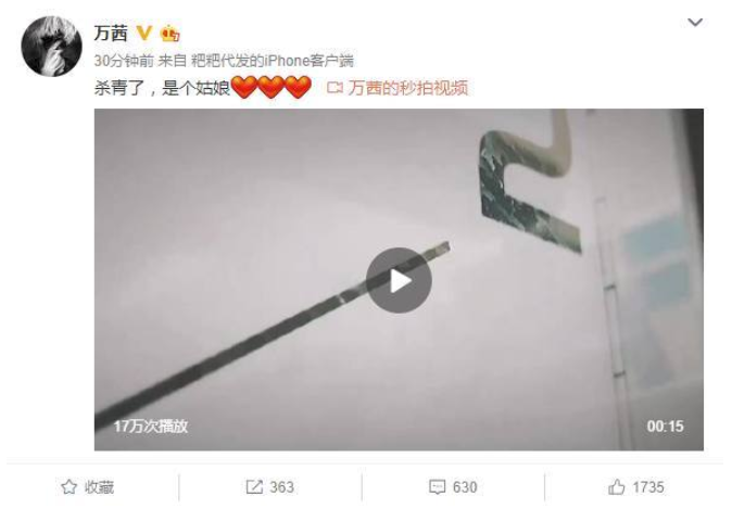 万茜的老公张孝全吗独家揭秘万茜的老公个人资料 最意想不到夫妻