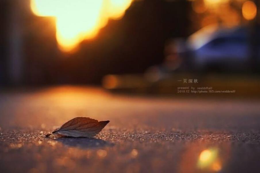 节哀顺变是什么意思?安慰节哀顺变的短句以及愿逝者安息句子整理