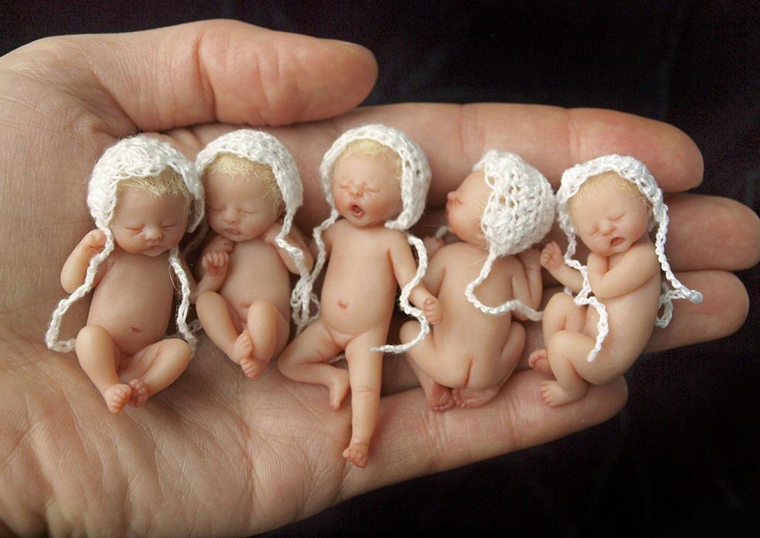 2020最新婴儿降生的唯美句子整理 妈妈们别再做掉粉的晒外狂魔了