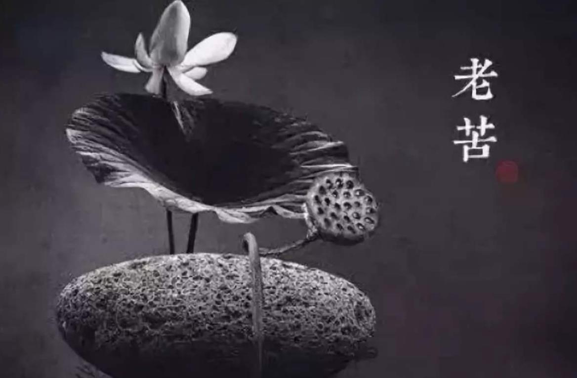 心里的苦自己扛的句子图片 人生不易 愿坚强常与我们同行