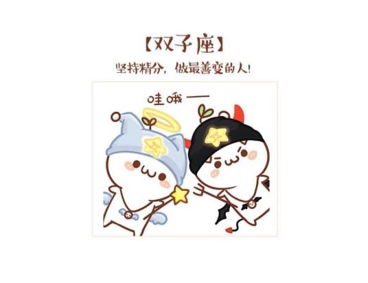 双子女和什么星座最配 指数多少?她喜欢一个人的表现