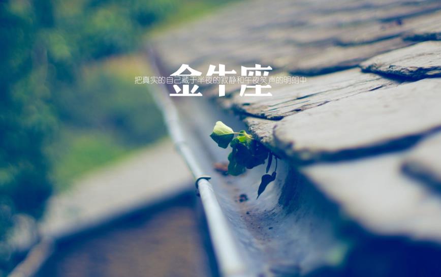 金牛男和什么星座女最配?遇见真爱的状态和表现有哪些?