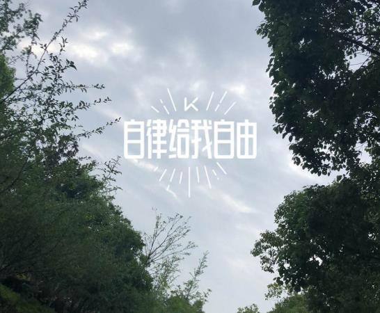 自律首先要做到哪三点?掌握技巧就能养成习惯