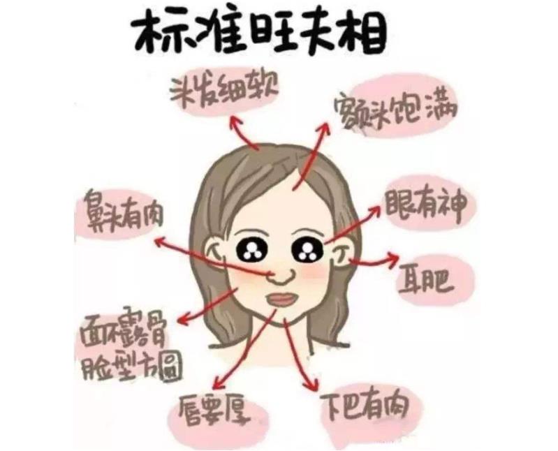 最旺夫的脸型图片详解 郭晶晶第一 看看你属于哪一种?