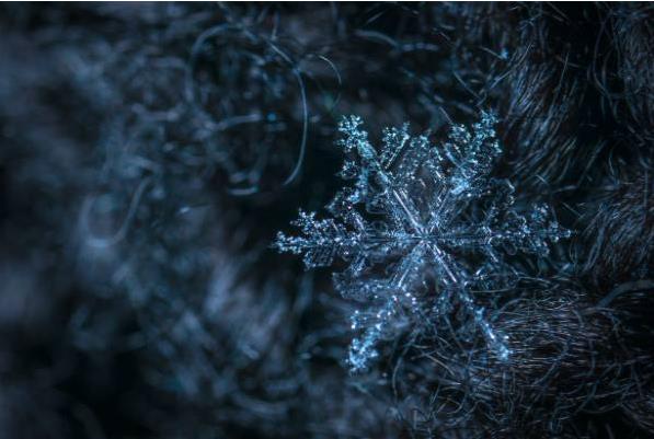 下雪的说说心情短语图片 听银装素裹里雪落下的声音