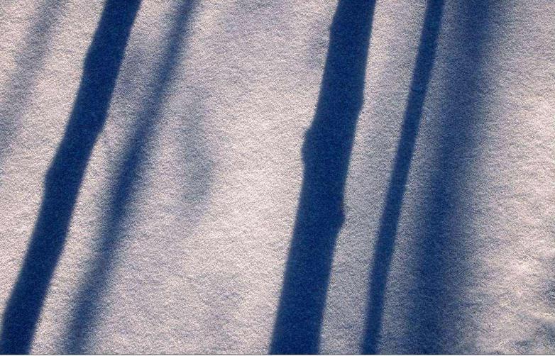 下雪的说说心情短语图片 听银装素裹里雪落下的声音