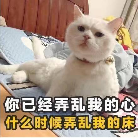 逗男生开心的小套路聊天句子 表情包 有趣灵魂始终增温