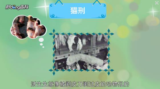 如懿传阿箬结局怎么死的?猫刑是什么?第几集下线的?