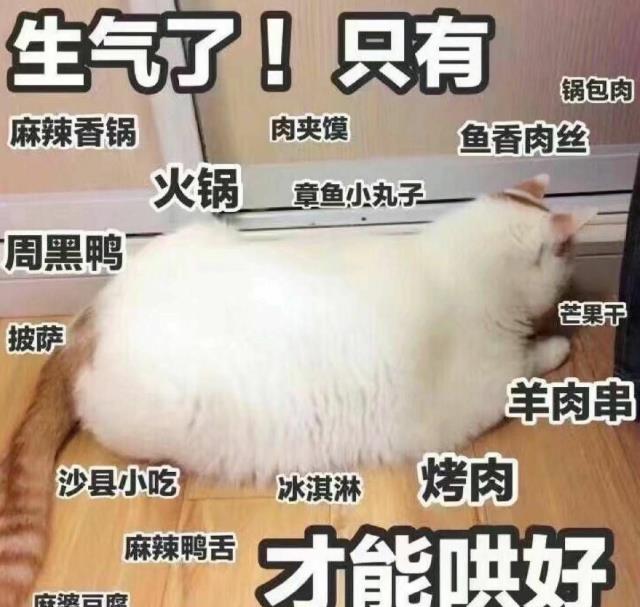 生卖萌撒娇一段话长一点的50字推荐 让男人心软妥协