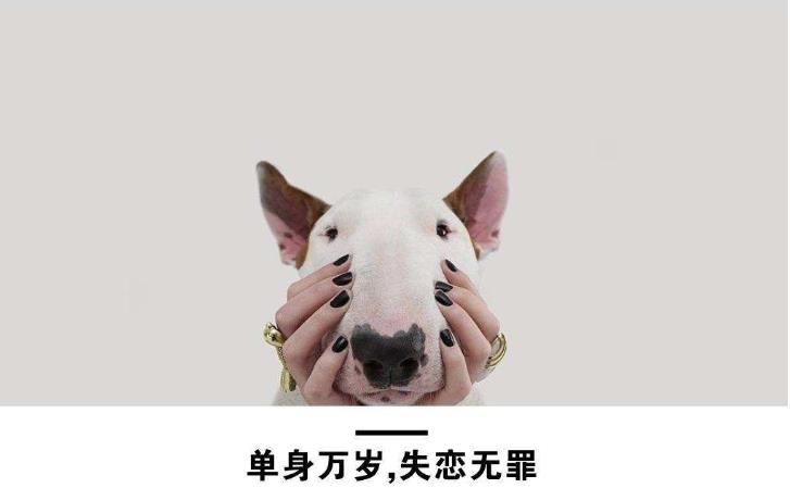 单身的说说怎么发最抢眼 这20句话瞬间引炸你的朋友圈