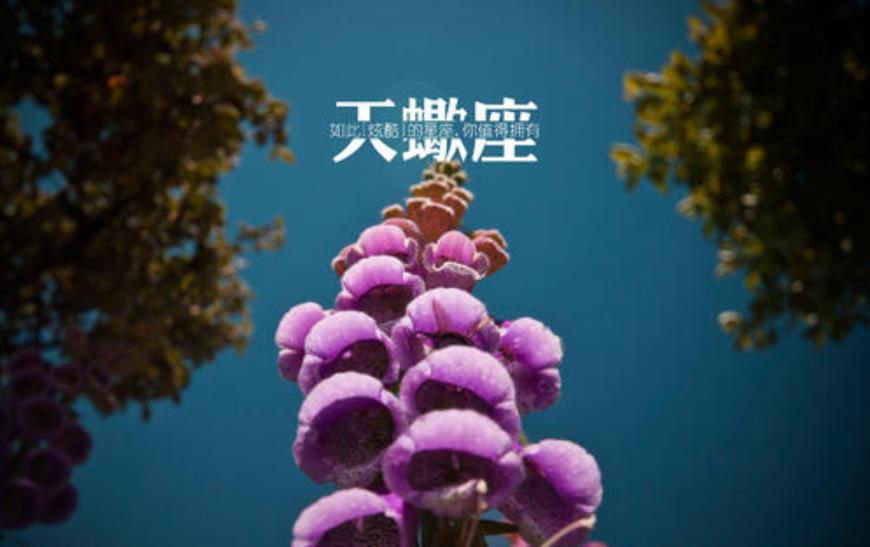 降得住天蝎男的女人是什么样的?这3个星座告诉你真相