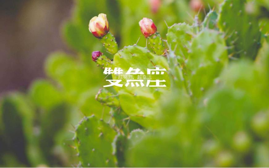 双鱼男喜欢一个人的表现有哪些 这5项标准堪称黄金衡律